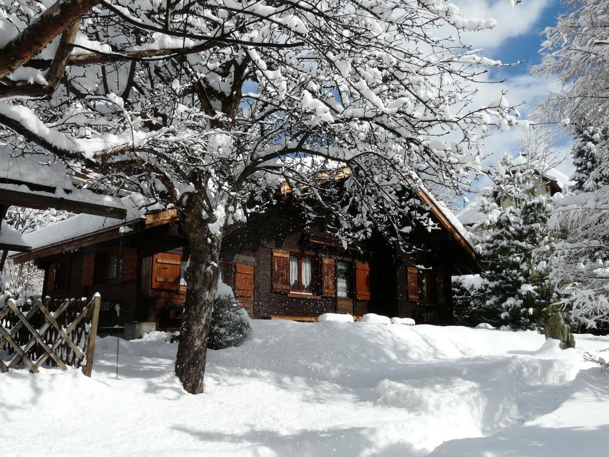 Chalet Des Glaciers Chamonix Exterior foto